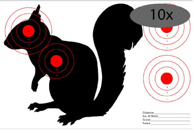 The Smallest Caliber for Deer Hunting