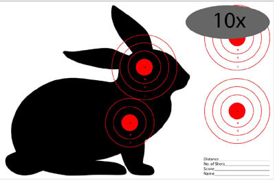 The Smallest Caliber for Deer Hunting